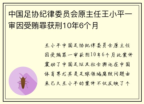 中国足协纪律委员会原主任王小平一审因受贿罪获刑10年6个月